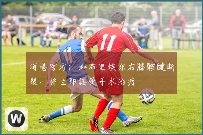 海港官方：加布里埃尔右膝髌腱断裂，将立即接受手术治疗