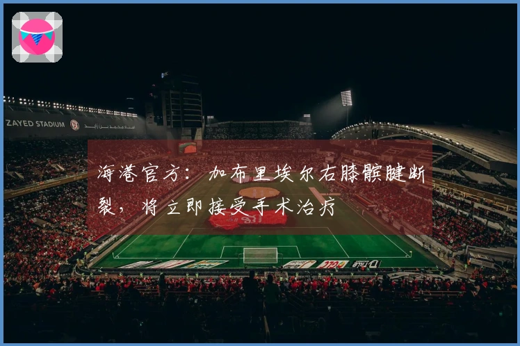 海港官方：加布里埃尔右膝髌腱断裂，将立即接受手术治疗